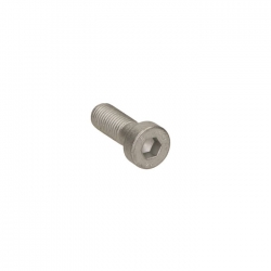 Vis etrier radial m10x1.25...